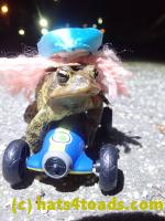 /home//u458753944/public_html/sourcegallery////Roxborough Toad Detour/2022/2022-04-14 and 04-13/P4141007.JPG